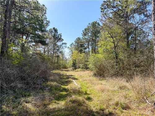 15 Round Prairie Rd, Huntsville, TX, 77320 | Card Image
