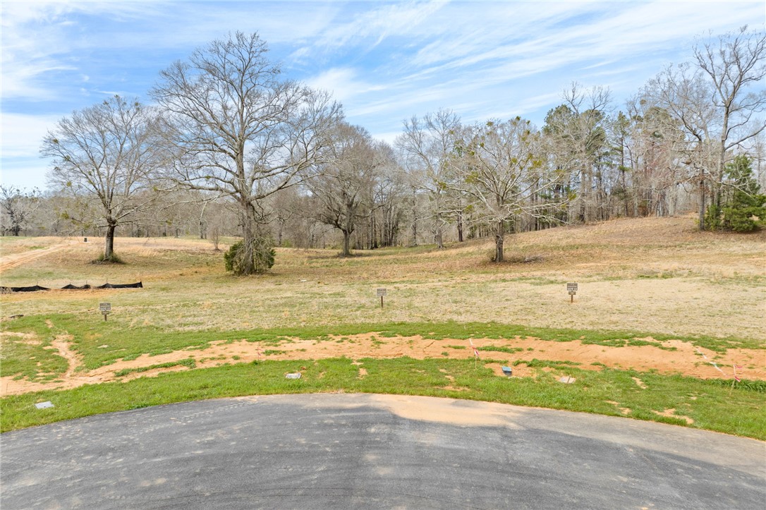 Land in Auburn 3