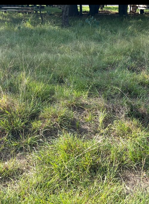 Lot 790 Oak Point Dr, May, TX, 76857-3102 | Card Image