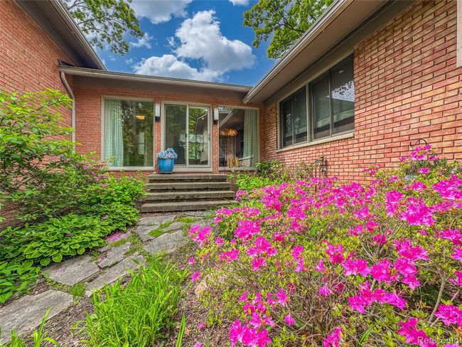 Variety of Perennials | Image 47