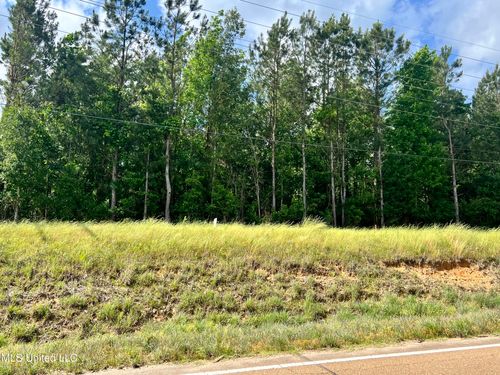  Lot 7 Hwy 24, Woodville, MS, 39669 | Card Image