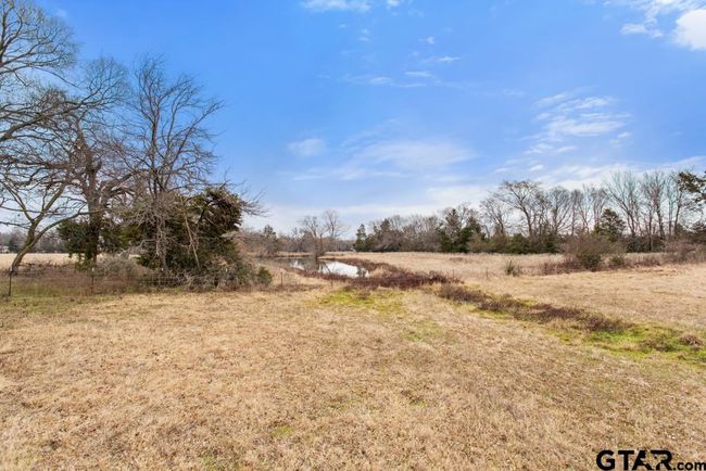 15037 State Highway 110, Home with 0 bedrooms, 0 bathrooms and null parking in Van TX | Image 31