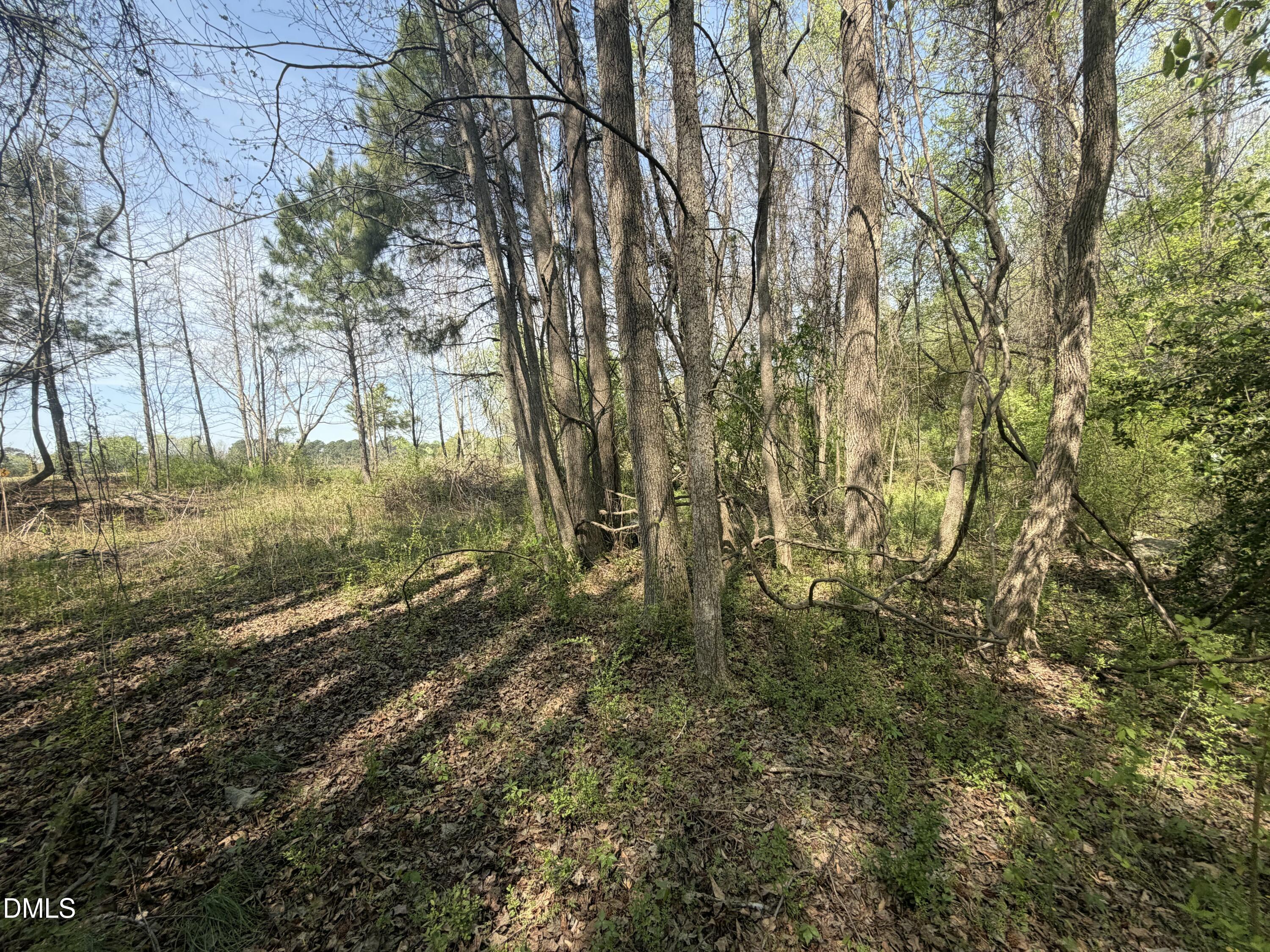 Land in Erwin 5