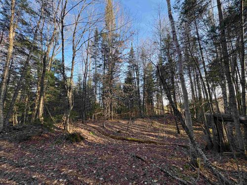 208 Drake Place Road, Sheffield, VT, 06359 | Card Image