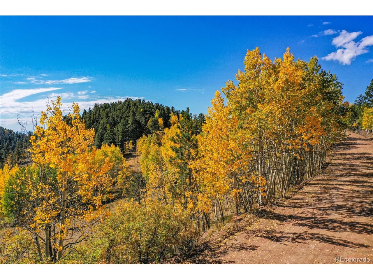 Land in Cripple Creek 5