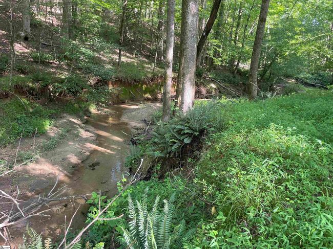 158 Brockeric Rd, House other with 3 bedrooms, 2 bathrooms and null parking in Honea Path SC | Image 44