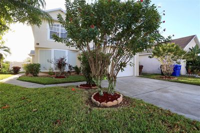 Driveway yard view | Image 3