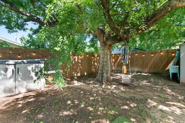 Backyard | Image 23