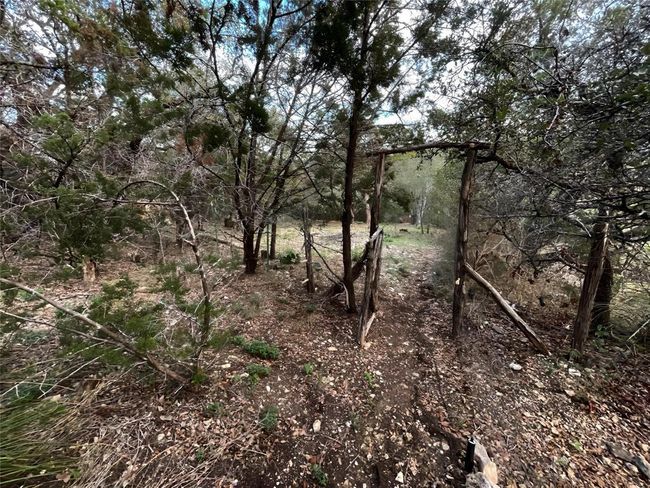 View of local wilderness | Image 14