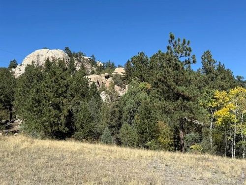 0 Tbd Bald Mountain Drive, Livermore, CO, 80536 | Card Image