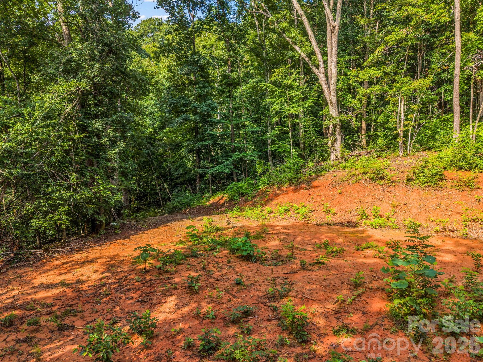 Land in Swannanoa 4