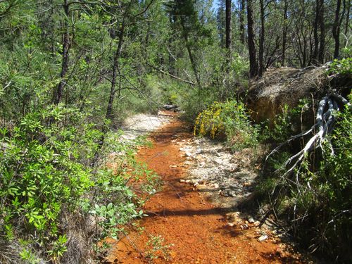 15699 Tyler Foote Rd, Nevada City, CA, 95959-9318 | Card Image