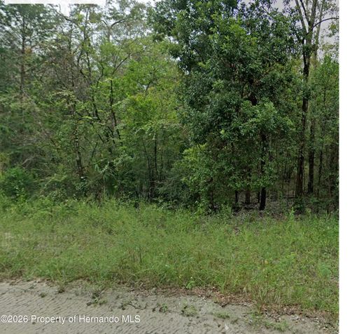 0 Ne 160th Avenue, Williston, FL, 32696 | Card Image