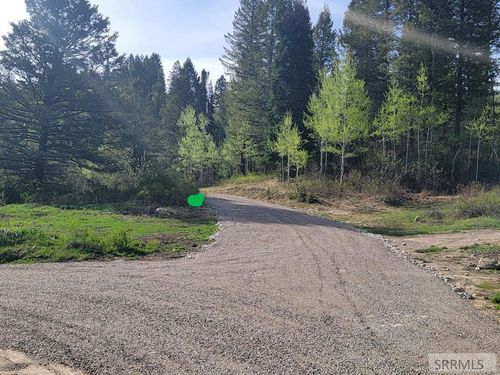 L39 B4 Cutthroat Run, Irwin, ID, 83428 | Card Image