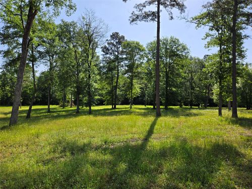 6 Noah Ct, Huntsville, TX, 77320 | Card Image