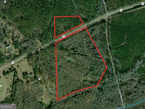 31+/- AC E 6th Ave, Buena Vista, GA, 31803 | Card Image