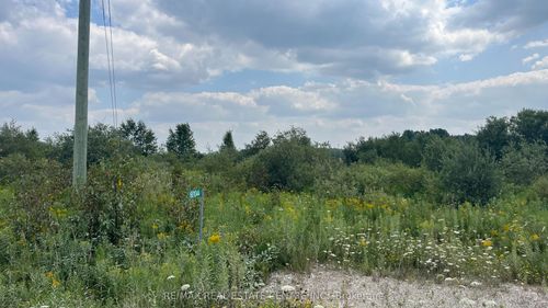 681044 260 Sideroad, Melancthon, ON, L9V2M7 | Card Image