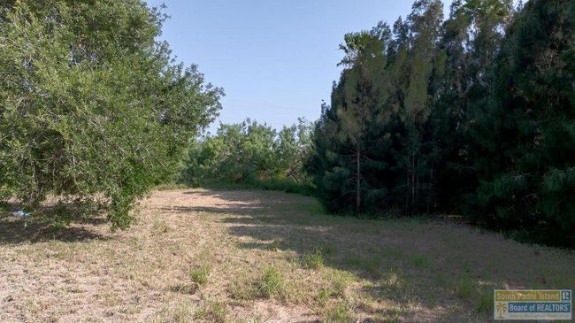 108 Palma Ln, House other with 3 bedrooms, 3 bathrooms and 2 parking in Bayview TX | Image 28