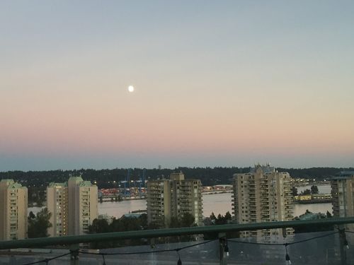 {{alt}} | Card Image