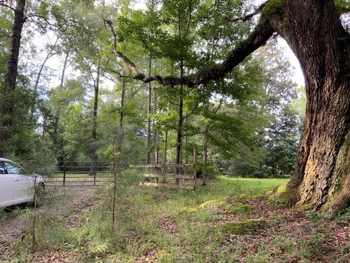 -00 Curlie Seal Rd, Picayune, MS, 39466 | Card Image