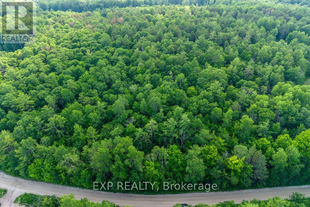 Land in Whitewater Region 4