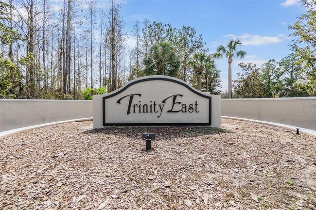 Trinity East awaits! | Image 28