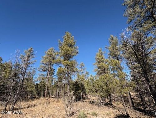 3211 W Black Oak Loop, Show Low, AZ, 85901-7588 | Card Image