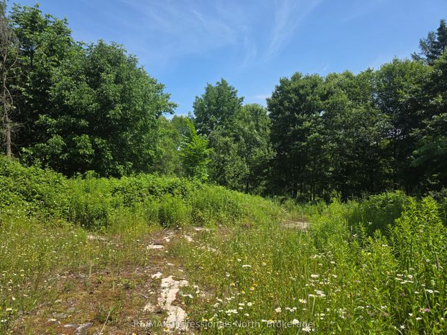 1134 Walker Line Rd, Home with 0 bedrooms, 0 bathrooms and null parking in Algonquin Highlands ON | Image 5