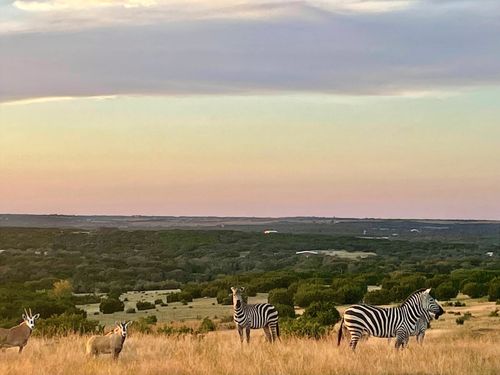 Tract 2 County Road 208, Lampasas, TX, 76550 | Card Image