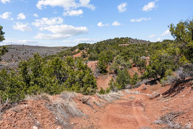 road on east side of the ranch | Image 76