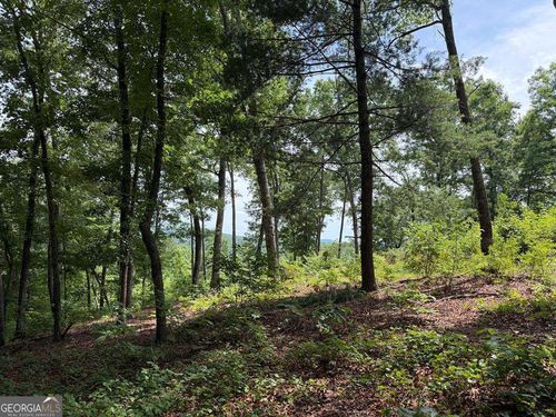 20-LOT 20 Lake Top Lane, Ellijay, GA, 30540 | Card Image