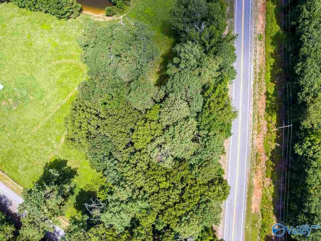 6985 Highway 53, Home with 0 bedrooms, 0 bathrooms and null parking in Toney AL | Image 4