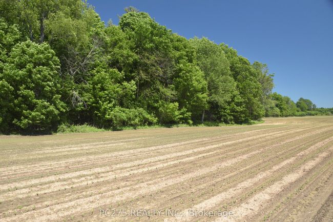 54067 Mcquiggan Line, Home with 0 bedrooms, 0 bathrooms and null parking in Bayham ON | Image 11