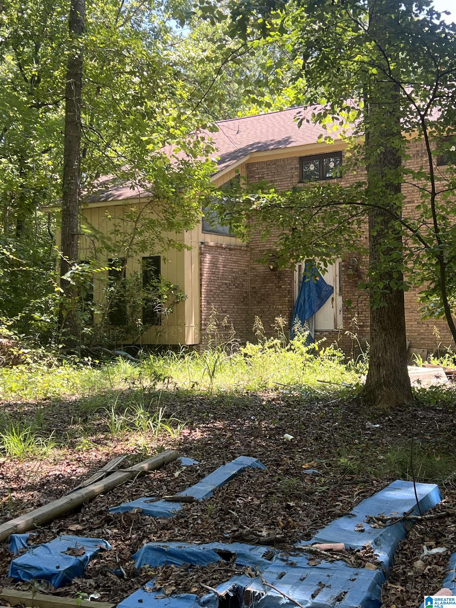Shades Cliff Rd, Jasper, AL 35504 #1