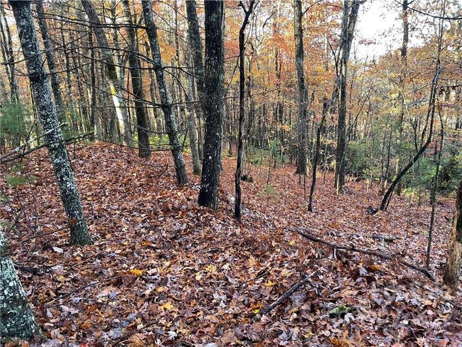 4 - 9999 Sassafras Ln, Home with 0 bedrooms, 0 bathrooms and null parking in Cedar Mountain NC | Image 28