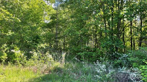 99999 Bachelder Dr, Candler, NC, 28715 | Card Image