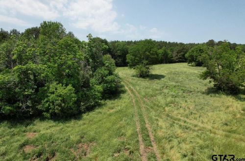 TBD-C County Road 4653, Tenaha, TX, 75974 | Card Image