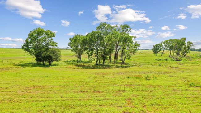 119 - TBD Fm 2689, Home with 0 bedrooms, 0 bathrooms and null parking in Gorman TX | Image 12