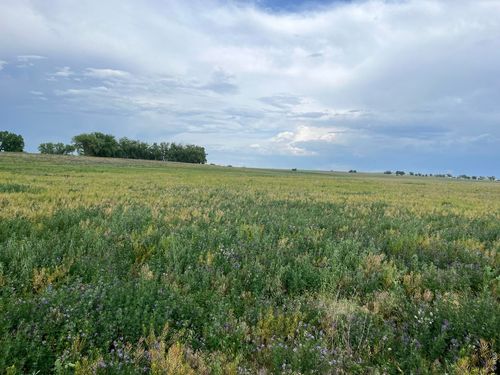 0 County Road 33, Platteville, CO, 80651 | Card Image