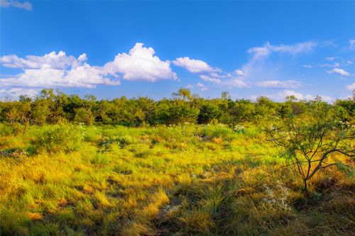 130 Mountain Top Trl, Graford, TX, 76449 | Card Image