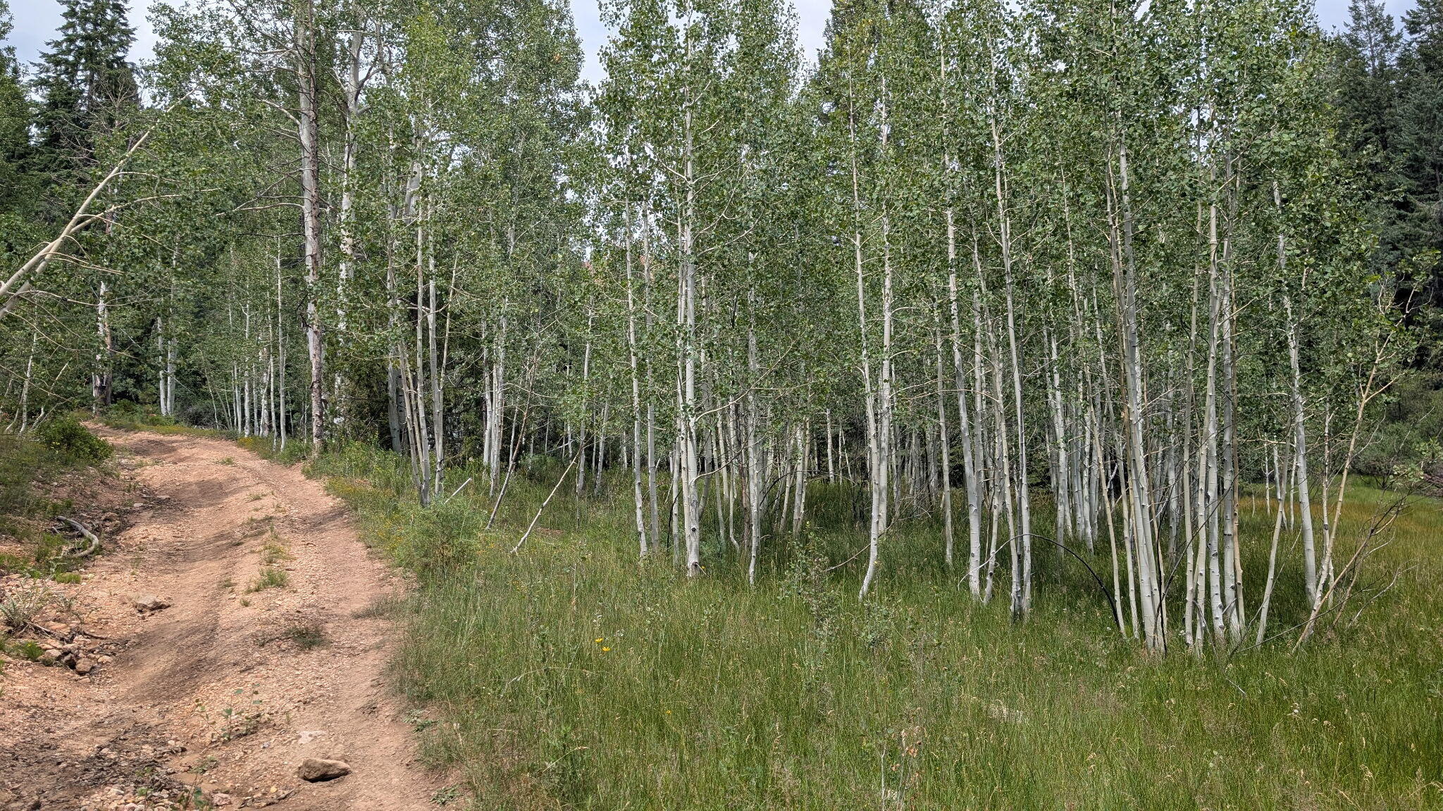 Land in Duck Creek Village 2