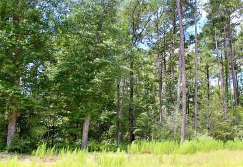 14 Larkspur Lane, Huntsville, TX, 77358 | Card Image