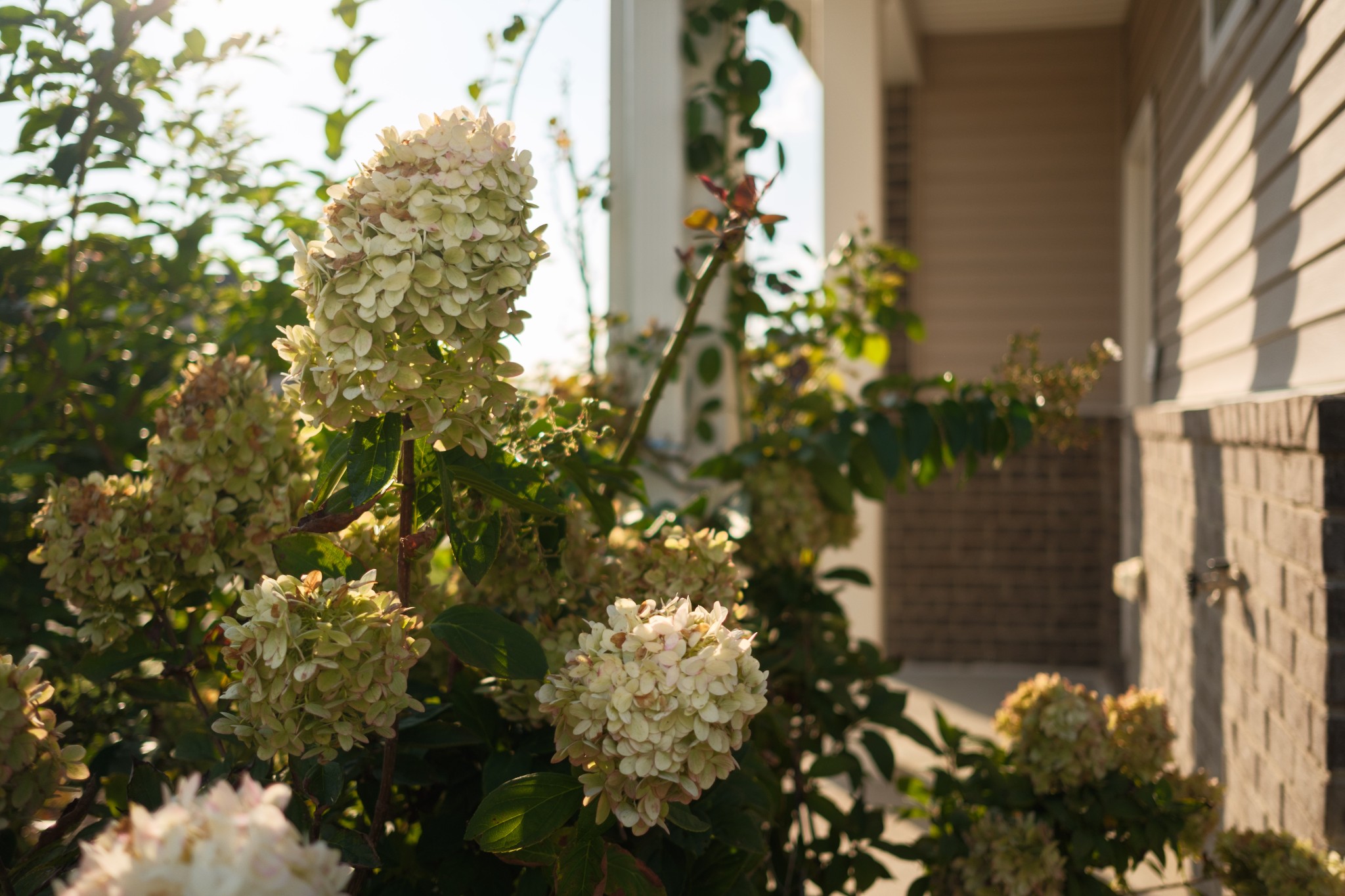 Residential in Spring Hill 4