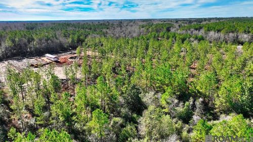 24000 Leora Williams Ln, Mt Hermon, LA, 70450 | Card Image