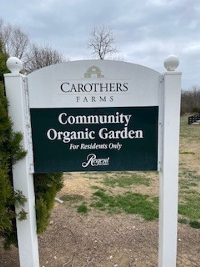 Community Organic Garden | Image 24