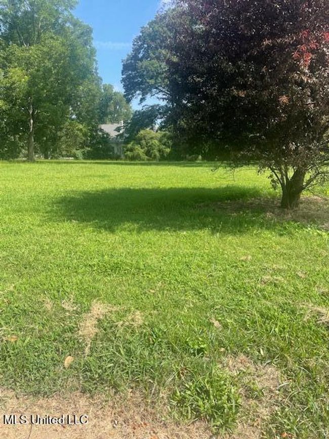 Sycamore 2 | Image 5