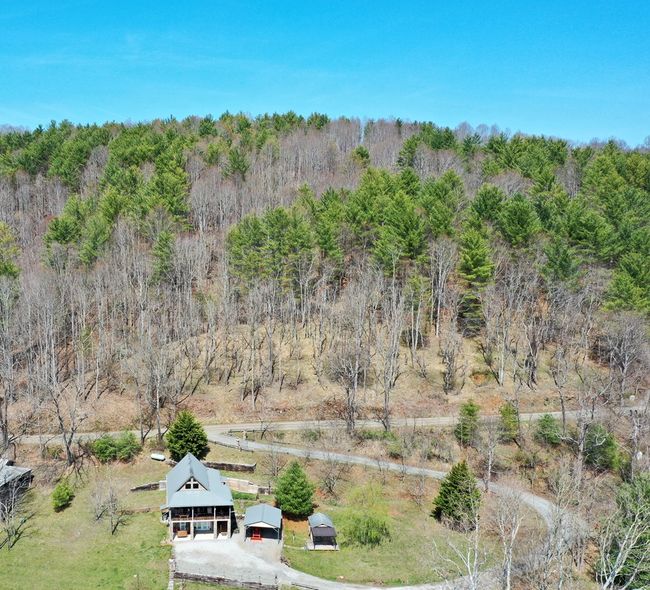3550 Old River Ln, House other with 2 bedrooms, 2 bathrooms and 558 parking in Independence VA | Image 52