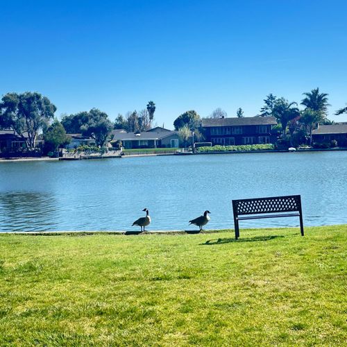 apt-13-3768 W Benjamin Holt Dr, Stockton, CA, 95219-3340 | Card Image