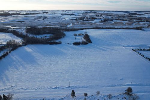 TBD 190th Ave, Pelican Rapids, MN, 56572 | Card Image