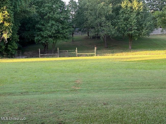 Back Yard | Image 5